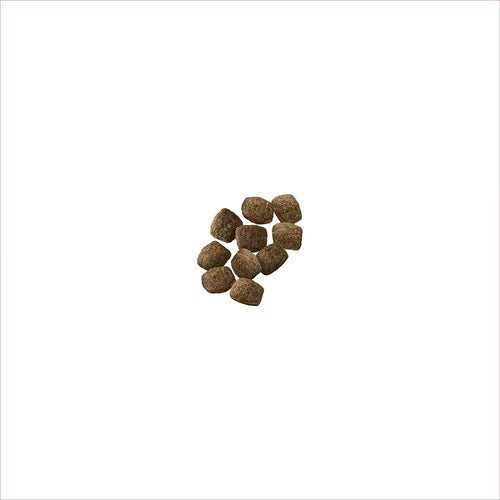 Purina Pro Plan Adult 7+ Sensitive Skin & Stomach Salmon & Rice Senior Dry Dog Food