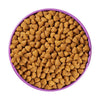 Purina Pro Plan All Ages Sport Performance 30/20 Salmon & Rice Formula Dry Dog Food