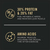 Purina Pro Plan All Ages Sport Performance 30/20 Salmon & Rice Formula Dry Dog Food