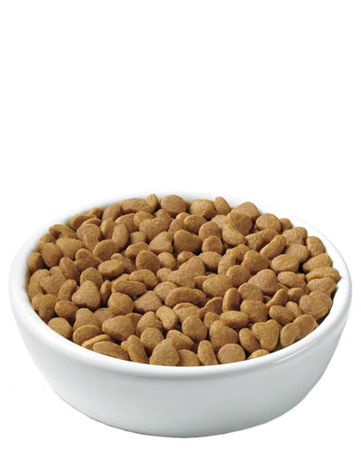 Purina Pro Plan Adult Urinary Tract Health Chicken & Rice Formula Dry Cat Food