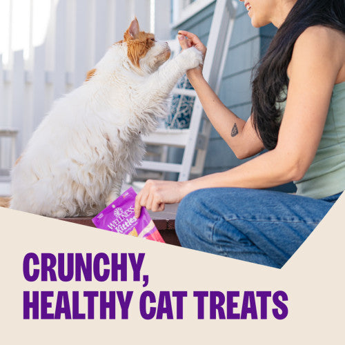 Wellness Kittles Grain Free Natural Cat Treats, Salmon & Cranberries Recipe