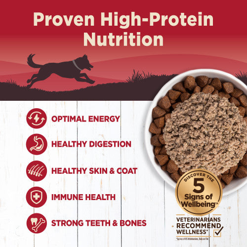 Wellness CORE 95% Beef & Carrots Recipe Wet Dog Food