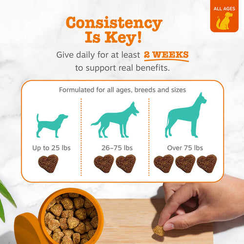 Zesty Paws Advanced Calming Bites™ for Dogs