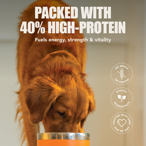 K9 Natural Baked & Coated Grass-Fed Red Recipe Dry Dog Food