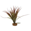 COLOR BURST FLORALS MINI SWORD PLANT