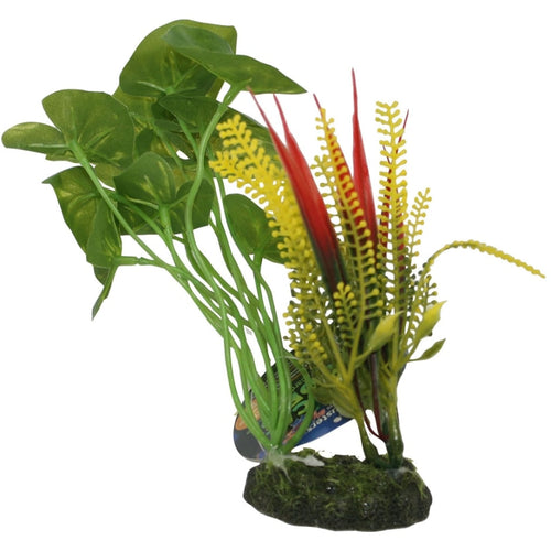 COLOR BURST FLORALS TROPICAL GARDENS ALOCASIA VARIEGATED CLUSTER