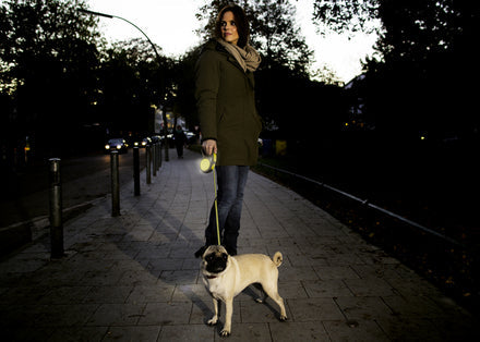 Flexi New Neon M Tape 16 ft/5 m