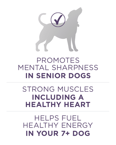 Purina ONE Plus Vibrant Maturity Adult 7+ Formula Dry Dog Food